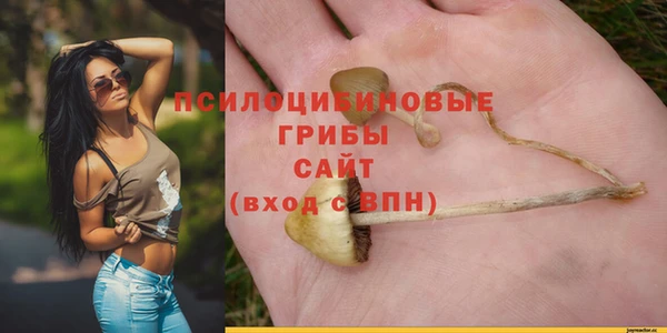 не бодяженный Верея